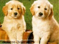 cLick 4 - SIR_Luka - = PicTuRes =