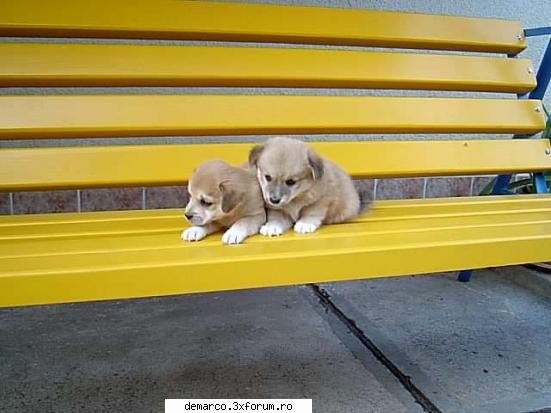 cLick 4 - SIR_Luka - = PicTuRes =